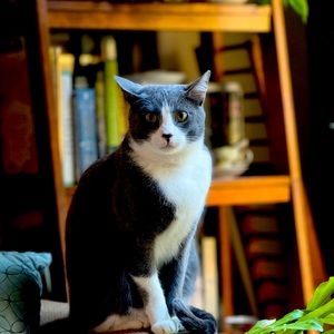 Meet your Posher, Reese